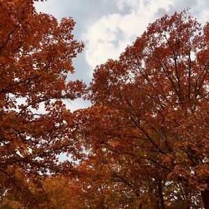 Meet your Posher, Inez